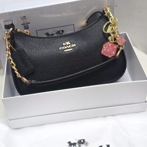 First Copy Coach Teri Bag